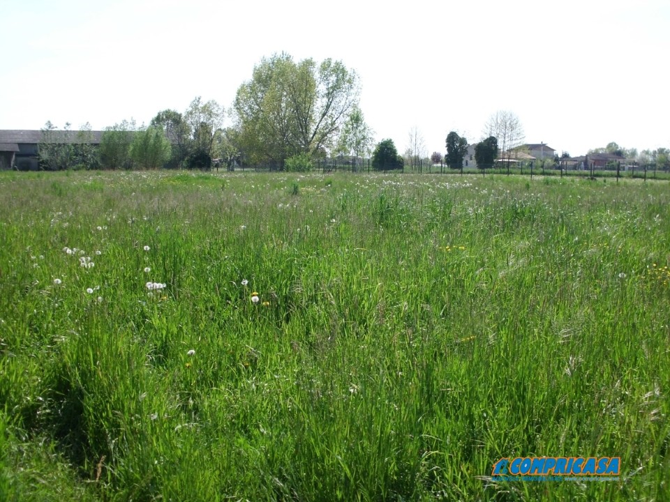 Vendita Casa Semindipendente Borgo Veneto