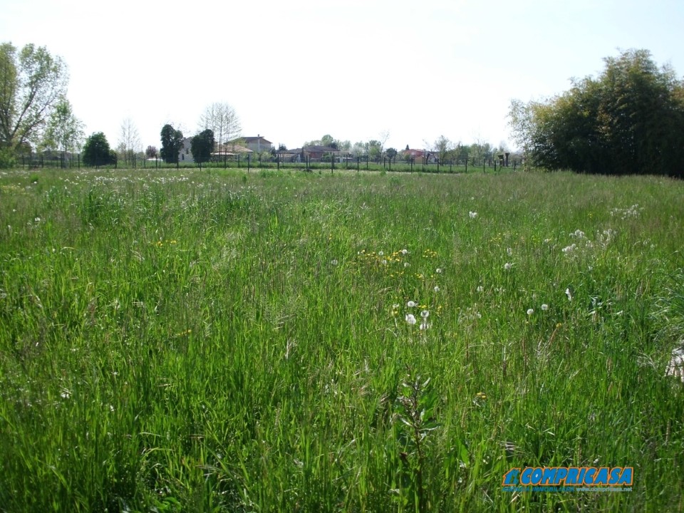 Casa Semindipendente Borgo Veneto PD1193549