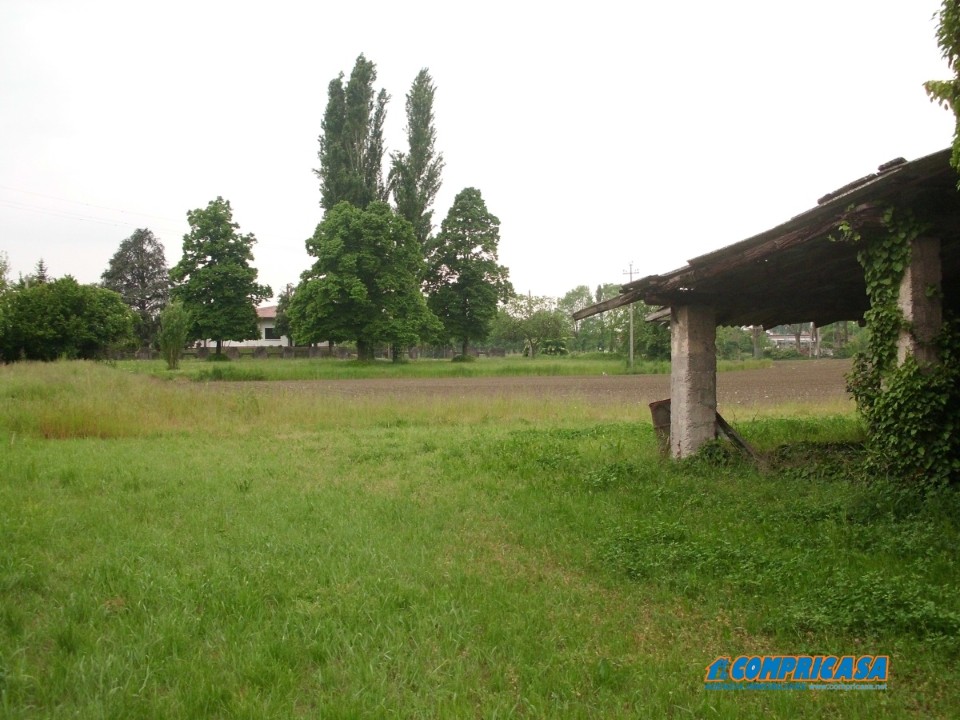 Terreno Residenziale in Vendita Casale di Scodosia