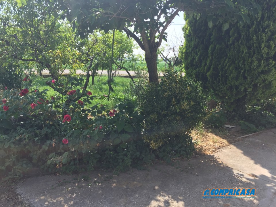 Villa Unifamiliare - Indipendente MONTAGNANA vendita  Montagnana  Compricasa Agenzia Immobiliare