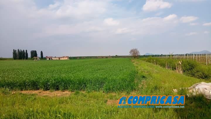 Villa Unifamiliare - Indipendente MONTAGNANA vendita  Montagnana  Compricasa Agenzia Immobiliare