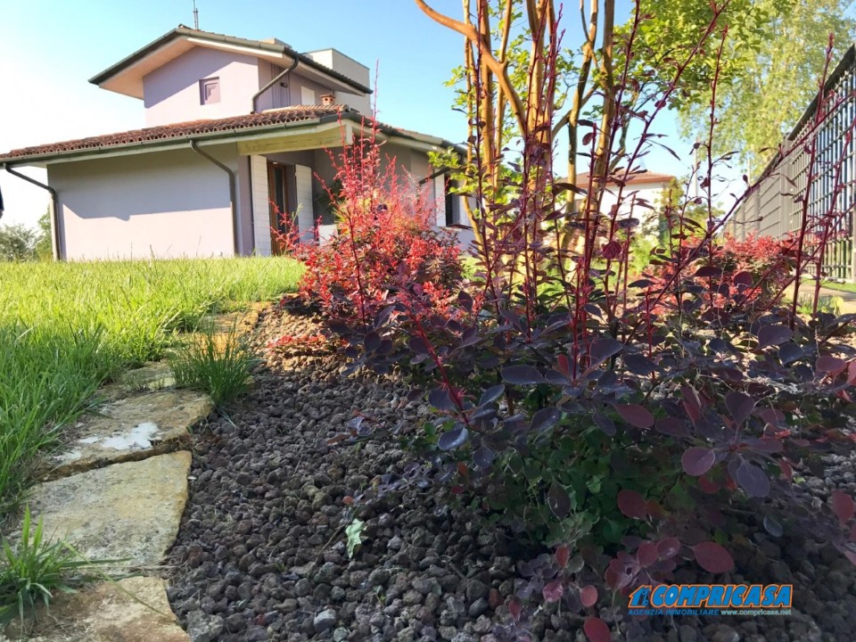 Villa MONTAGNANA vendita  Montagnana  Compricasa Agenzia Immobiliare