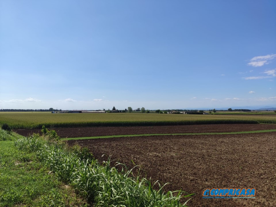 Villa Unifamiliare - Indipendente MONTAGNANA vendita  Montagnana  Compricasa Agenzia Immobiliare