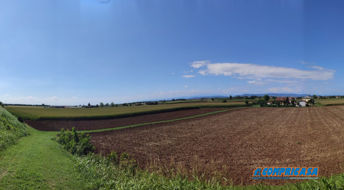 Villa Unifamiliare - Indipendente MONTAGNANA vendita  Montagnana  Compricasa Agenzia Immobiliare