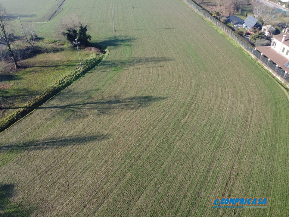 Terreno Residenziale in Vendita Casale di Scodosia